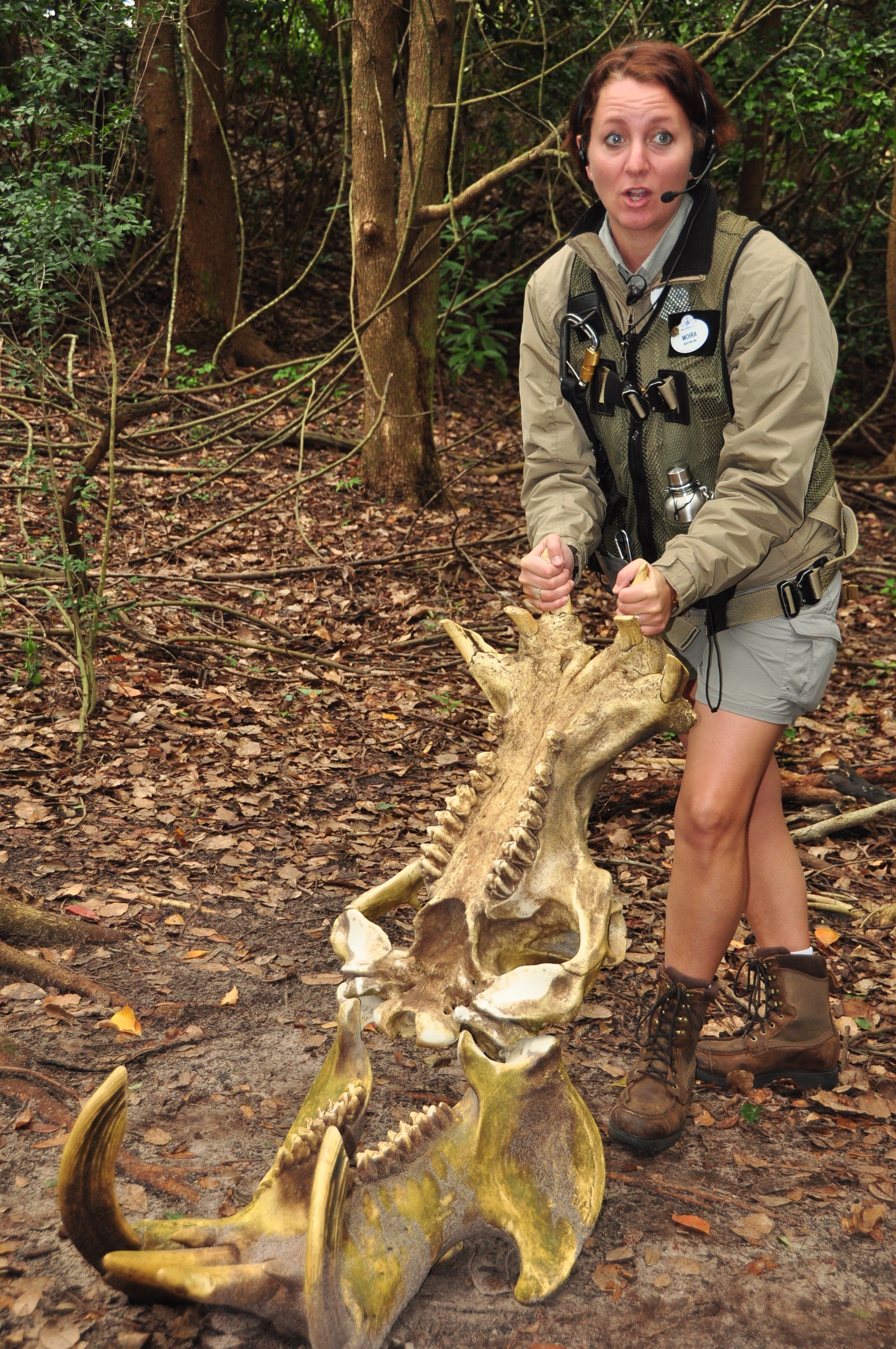 Wild Africa Trek 036