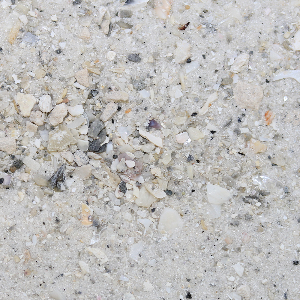 florida sand