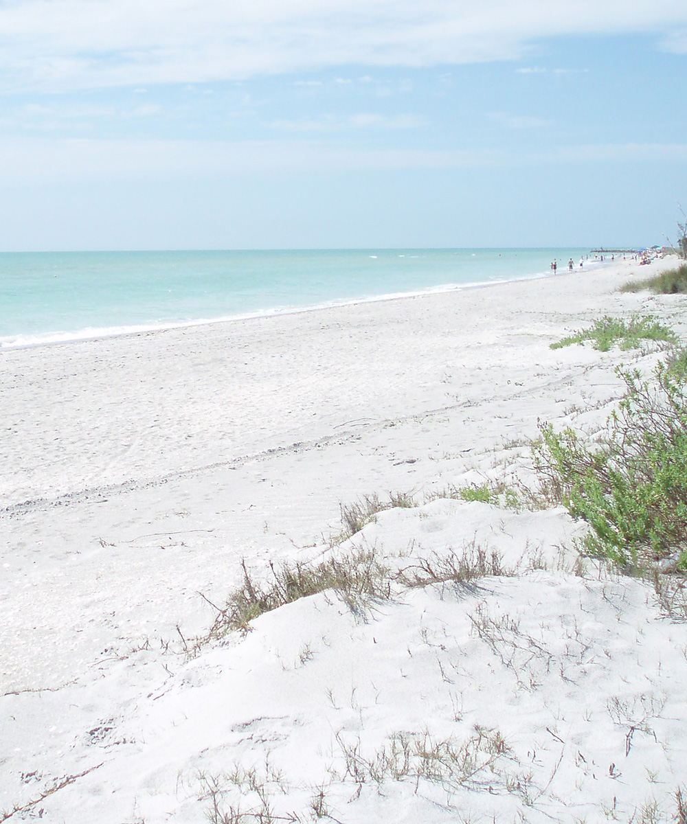 beach florida Sandglobe Dune Necklace Review