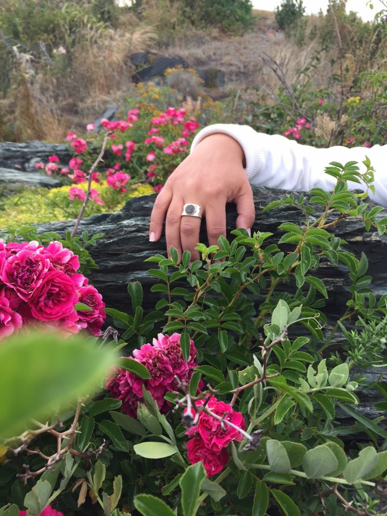Corin's Bayview ring