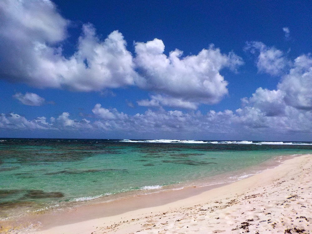pink-sand-beaches-AnegadaBeach