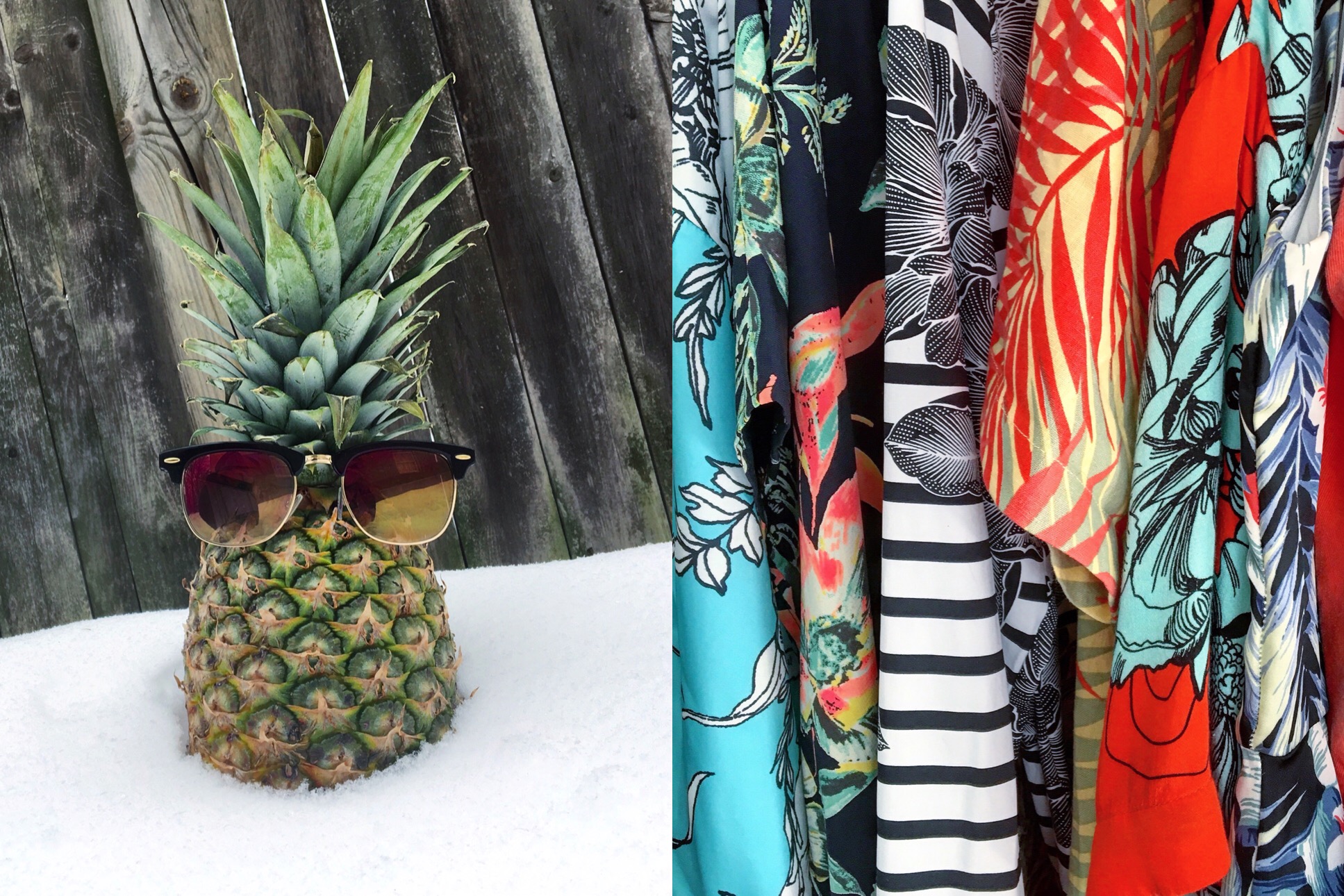 tropical beach pineapple