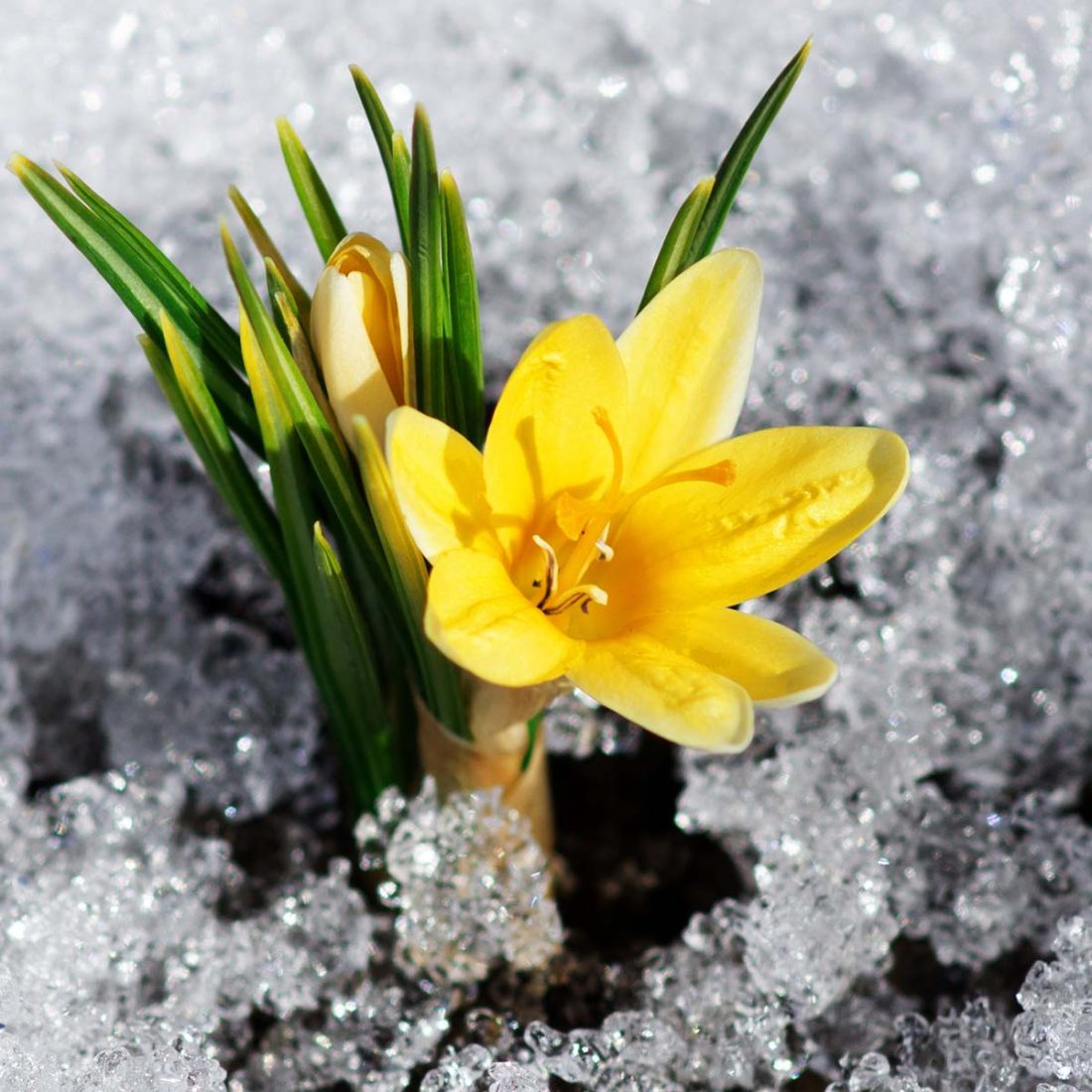 spring sand stories