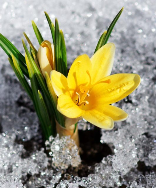spring sand stories