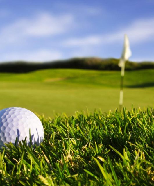 favorite golf gifts