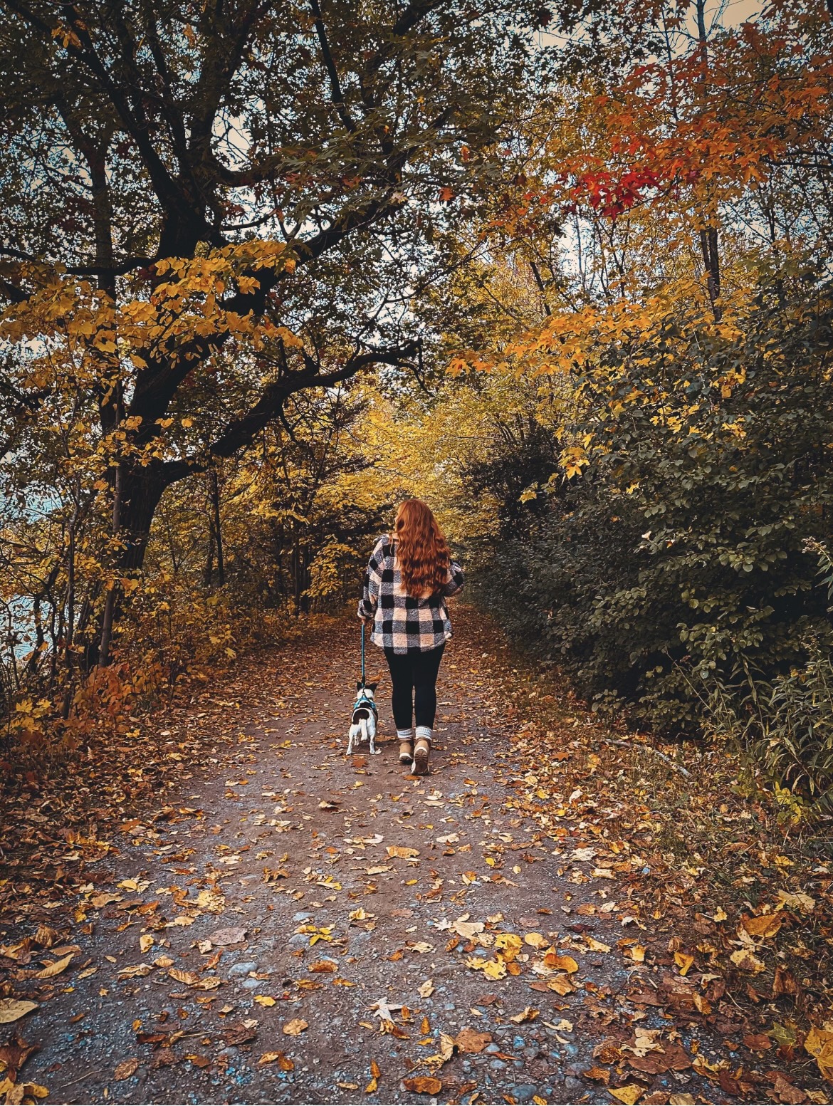 Jami goes on a walk with Mack in autumn.