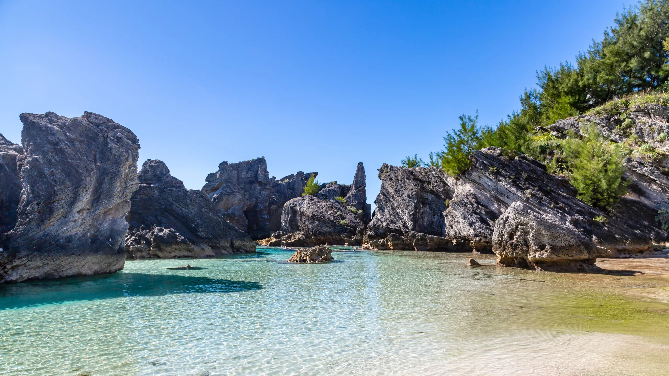 Horseshoe Bay Beach in Bermuda, best beaches in the world available in Dune Jewelry's Sandbank.