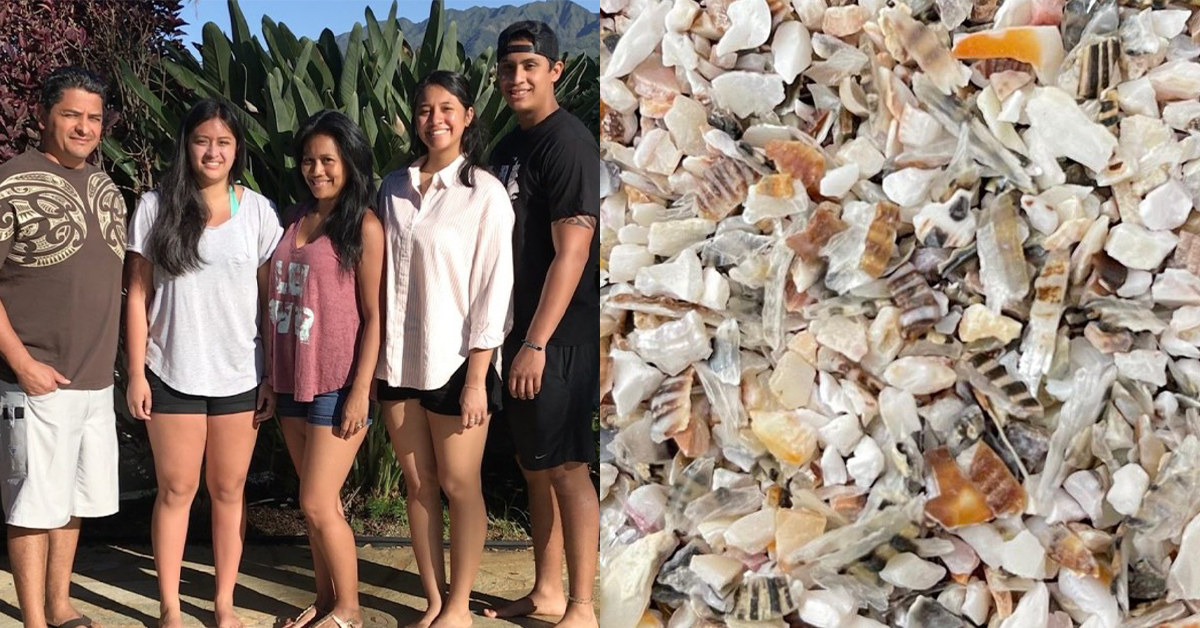 Hawaiian Opihi Limpet shell, crushed shells used in sea shell jewelry and sterling silver cuban link chain bracelet for travel lovers.